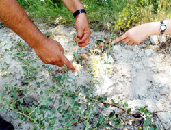 Kapari Her Derde Deva 