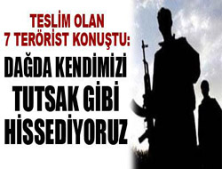 Teslim olan teröristler konuştu! 