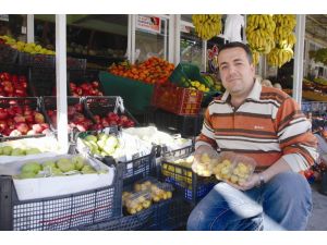 Kavun Ve Yeni Dünya Tezgahta