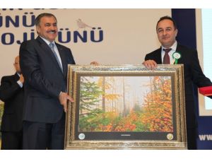 Geçen Yıl En Çok Dikili Ağaç Alan Balcıoğullarına Bakandan Ödül
