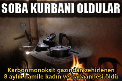 Hamile kadın ve babaannesi soba kurbanı 