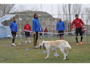 Spor Toto 2. Lig