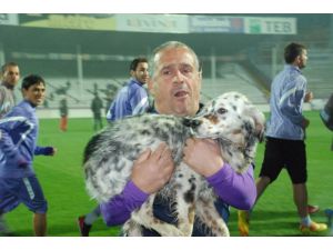 Antrenmanda Sahaya Giren Köpek Renkli Görüntülere Neden Oldu