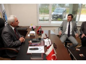 Zeytine Menşe Mecburiyeti Geliyor