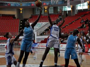 Türkiye Kadınlar Basketbol Ligi