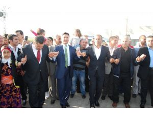 Ak Parti Milletvekilleri Türbede Barış İçin Dua Etti