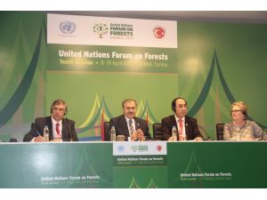 Bm Ormancılık Forumu 10. Toplantısı