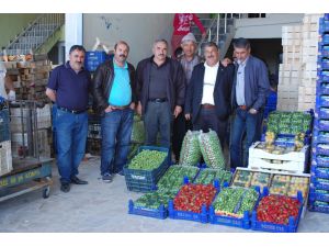 Rusyaya Çilek Ve Domates İhracatı Başladı