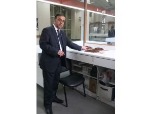 Kuru Meyvecilerden Okul Sütü Benzeri Proje