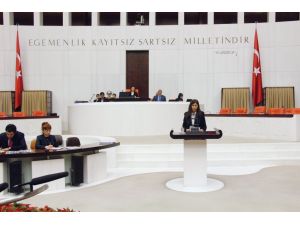 Diyarbakır Surları Meclis Gündeminde