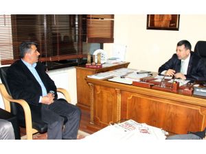 Kaçak Çayla Mücadele