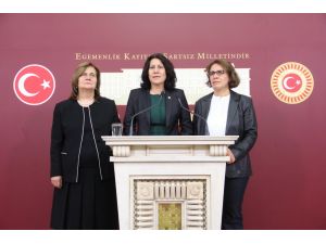 Chp Manisa Milletvekili Sakine Öz: