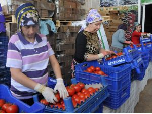 Antalyada Sebze Fiyatları Düştü