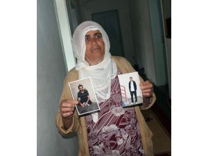 Barış Süreci Köylere Dönüşü Hızlandırdı