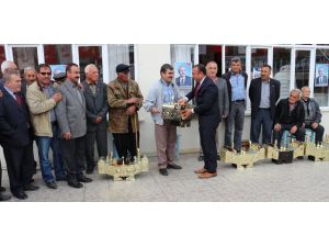 Chpden Altı Kişiye Ayakkabı Boya Sandığı