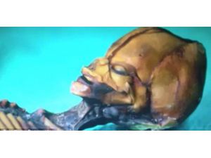 15 Santimetre Uzunluğundaki İnsana Benzeyen İskelet, Görenleri Hayrete Düşürdü