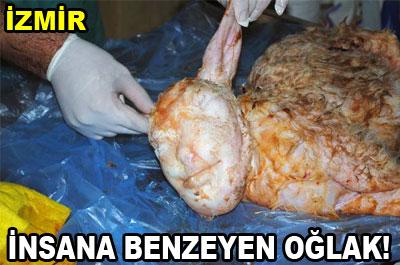 İnsana benzeyen oğlak! 