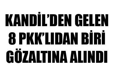 Kandilden gelen 8 PKKlıdan 1i gözaltına alındı 