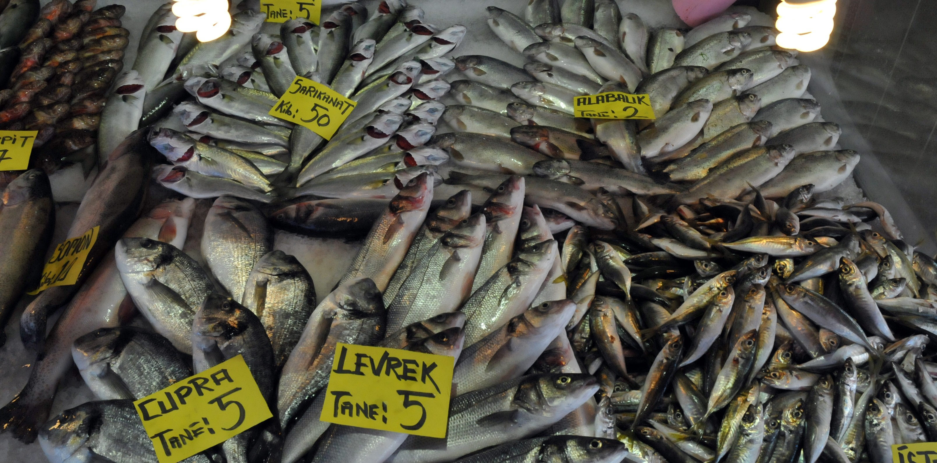 Zam şampiyonu belli oldu