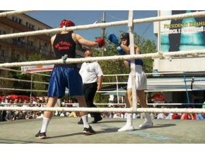 Kosova’da “türkiye’ye Teşekkür” Boks Turnuvası Düzenlendi