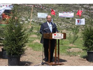 Madenciler 2023’e Kadar 1,5 Milyon Fidan Dikecek