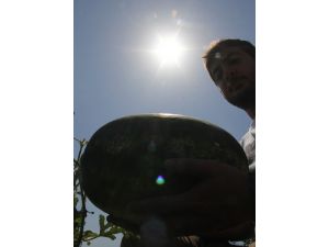 Sıcaklar Karpuzu Sofraya Erken Getirecek