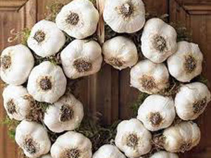 Sarımsağın Faydası Saymakla Bitmiyor