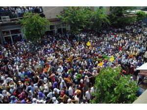 Selahattin Demirtaş İdil’de