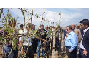 Mhp’li Oral Doludan Zarar Gören Üreticilerle Görüştü