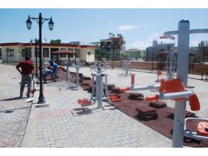 Bdp Ve Dtk Eş Genel Başkanları Siirt’e Geliyor