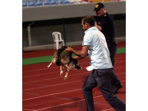 Maç Ortasında Sahada Köpek Sürprizi