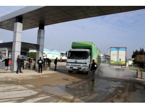 Şeker Piliç Üretime Başlıyor