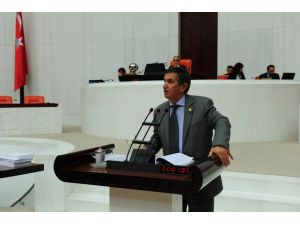 İpek Yılında İpekböcekçiliği Enstitüsü Açılmalı