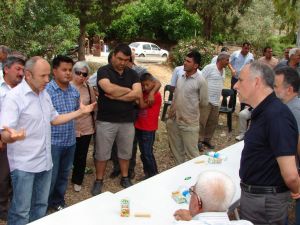 Köylüler, Hapisteki Milletvekilleri Tahliye Edilsin