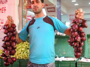 Mor Soğan Şifa Kaynağı