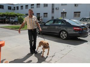 Kktc Meclisi’nde Bomba Paniği