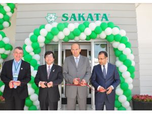 Japon Tohumculuk Devi Torbalıda