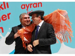 21 Mayıs Dünya Süt Günü Etkinlikleri