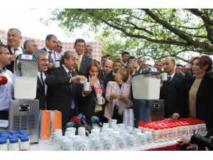 Tbmm’de Milletvekillerinin Süt Ve Ayran Keyfi