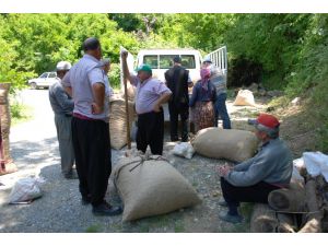 İpek Böceğini Yağmur Vurdu
