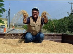 Trakya’da Yılın İlk Arpası 1 Lira 90 Kuruştan Satıldı