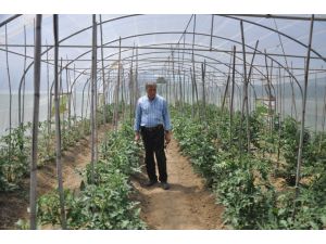 Irak’a 500 Ton Kulaca Salçası İhraç Edilecek