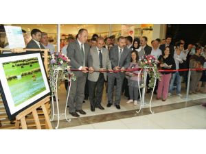 “su Damladan Deryaya” Fotoğraf Sergisi İlgi Çekiyor