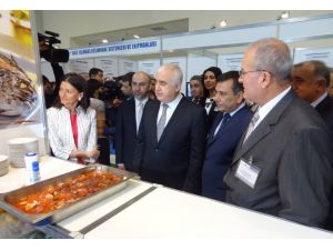 Türk Balıkları Azerbaycan’da Görücüye Çıktı