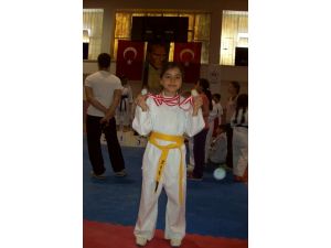 Bilecikte Karate-do İl Şampiyonası Yapıldı