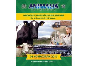 İzmir’den İstanbul’a Animalia Çıkartması