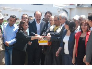 Ahmet Türkten Açıklamalar