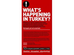 Abd Basınına Verilecek Gezi İlanı Belli Odu