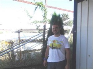 Yalovada Yelken Kursları Başlıyor