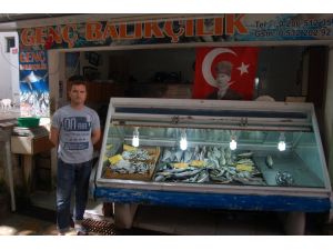 Sardalyenin Kilosu Beş Liraya Düştü